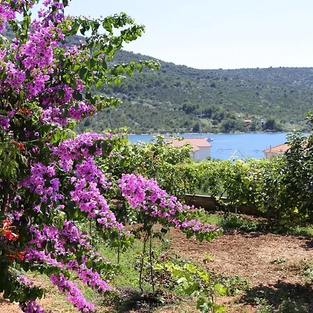 By The Sea Vinisce, Trogir - 10241 Apartment